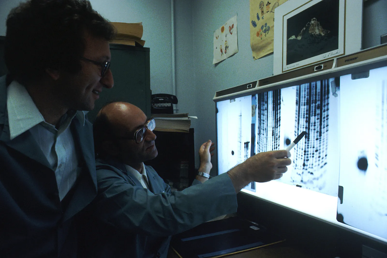 Two scientists in lab coats examine DNA sequencing gel autoradiographs on a light box in a research laboratory.